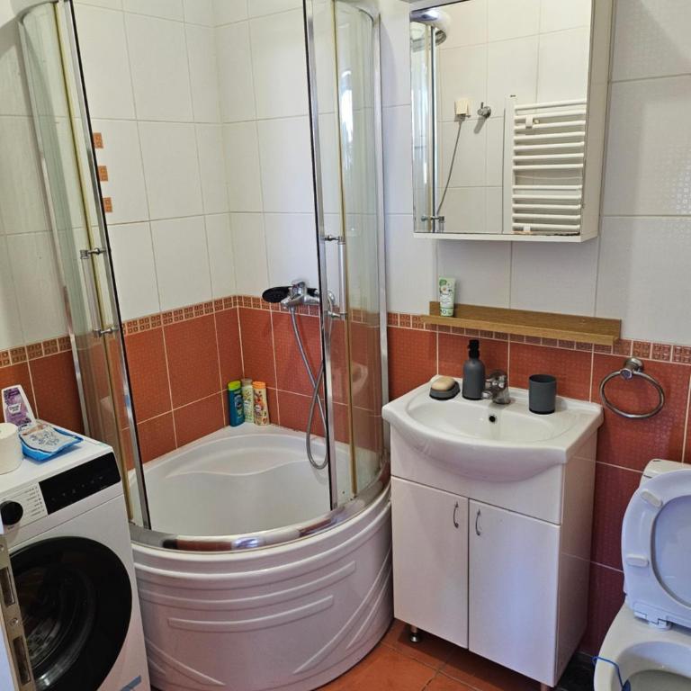 Alex Studio Novi Sad - Apartman sa 1 Spavaćom Sobom - 12