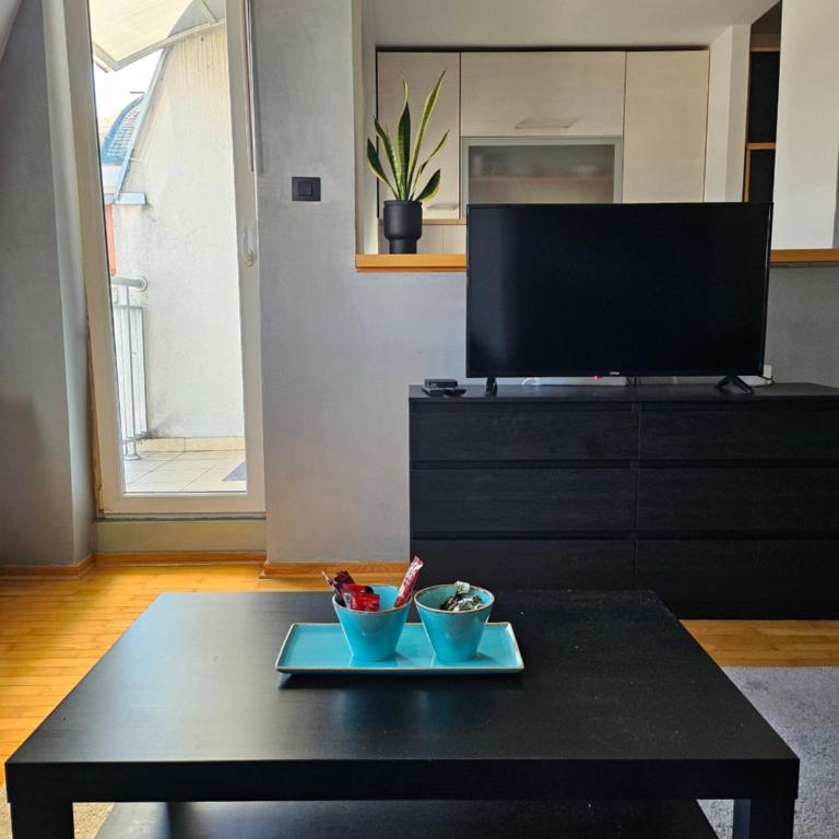 Alex Studio Novi Sad - Apartman sa 1 Spavaćom Sobom - 3