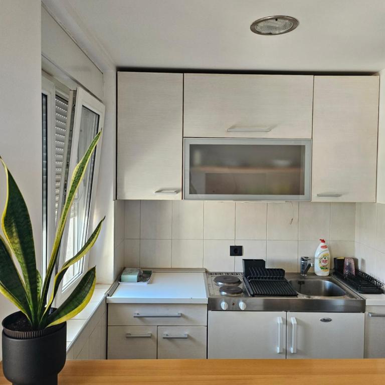 Alex Studio Novi Sad - Apartman sa 1 Spavaćom Sobom - 5
