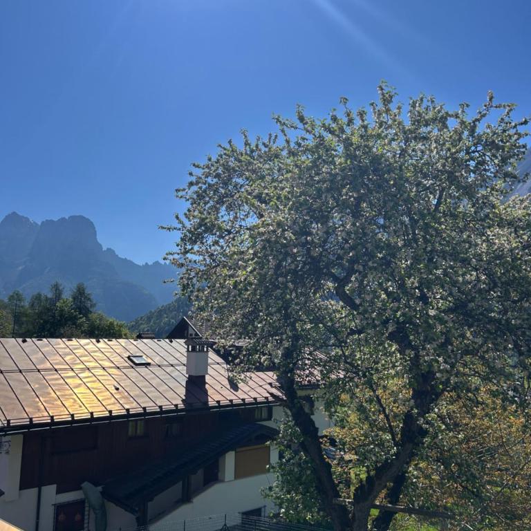 Casa Vallazza - Val di Zoldo - Dolomites - Appartamento con 2 Camere da Letto - 18