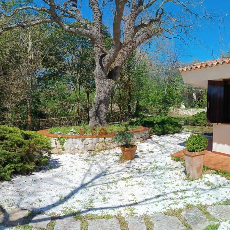 Villa L'antica Quercia - Three-Bedroom Villa - 6