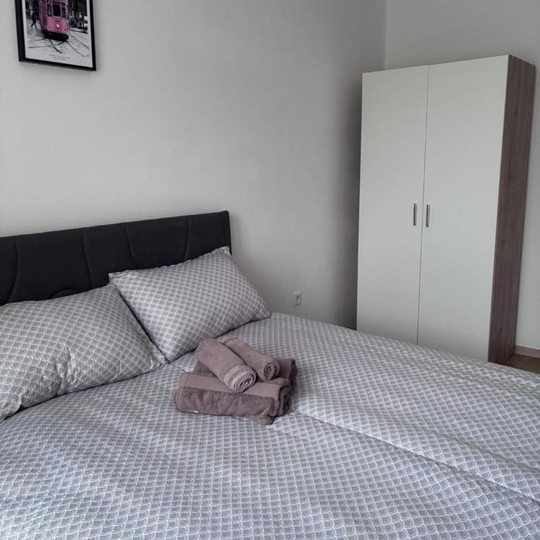 Borak Relax apartments - Apartman sa Balkonom - 18