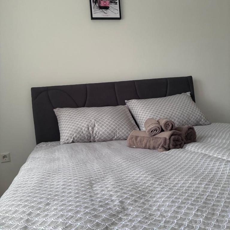Borak Relax apartments - Apartman sa Balkonom - 19