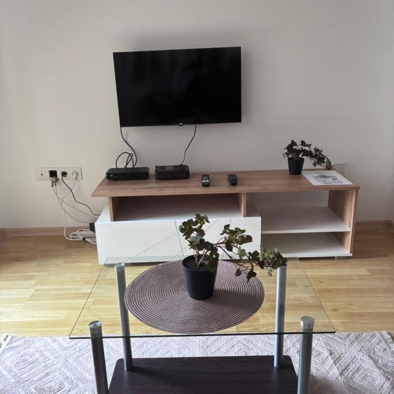 Borak Relax apartments - Apartman sa Balkonom - 4