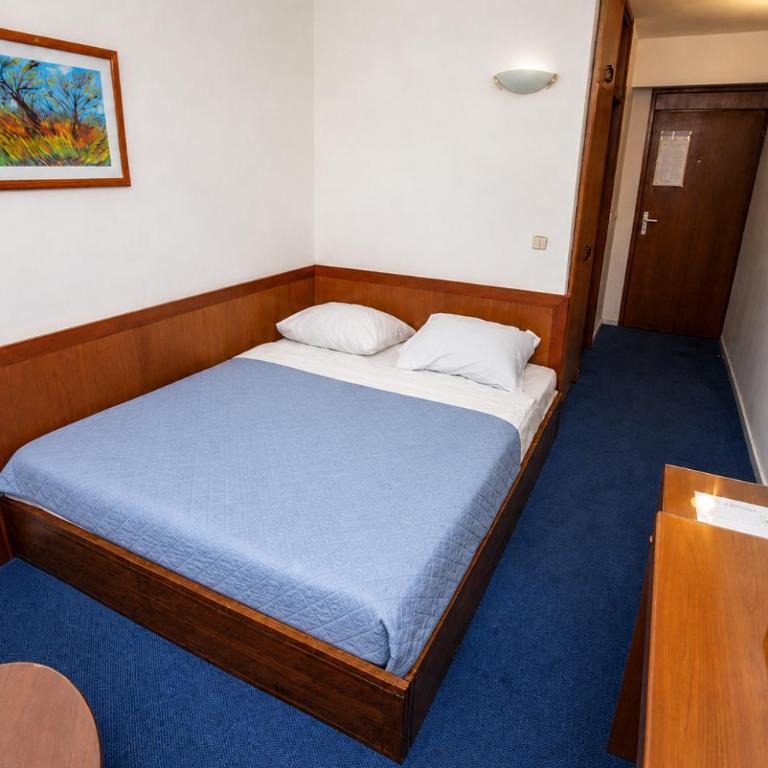 Hotel Saraj - Economy Dvokrevetna Soba sa Bračnim Krevetom - 3