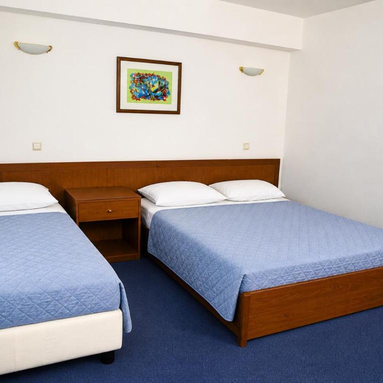 Hotel Saraj - Economy Dvokrevetna Soba sa Bračnim Krevetom - 4