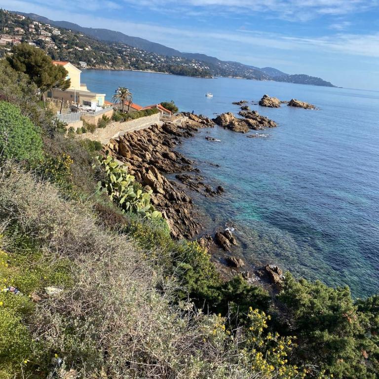 villa calme verdure proche plage et commerces - Villa - 8
