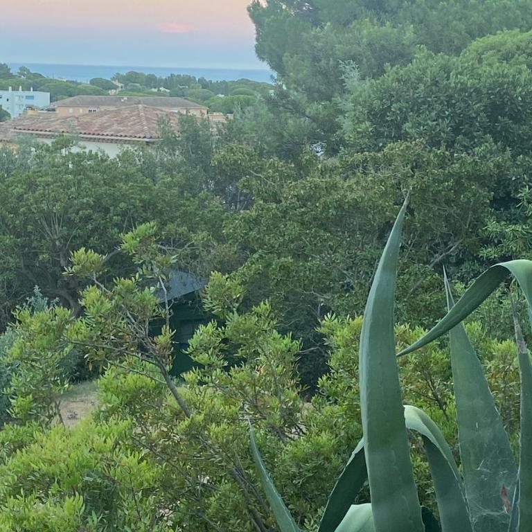 villa calme verdure proche plage et commerces - Villa - 62