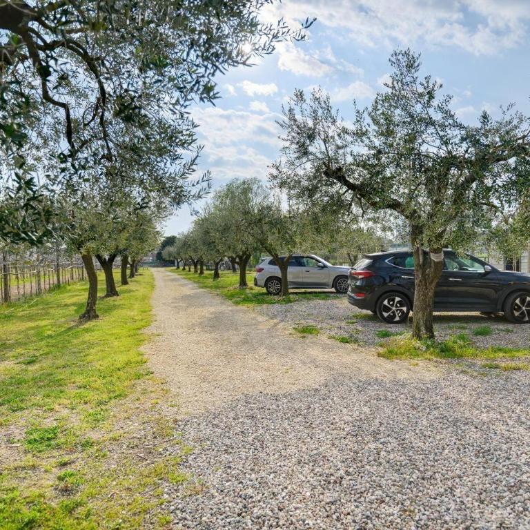 Olivo Apartment - Adults Only - Appartamento Deluxe con 2 Camere da Letto e Vista Giardino - 24