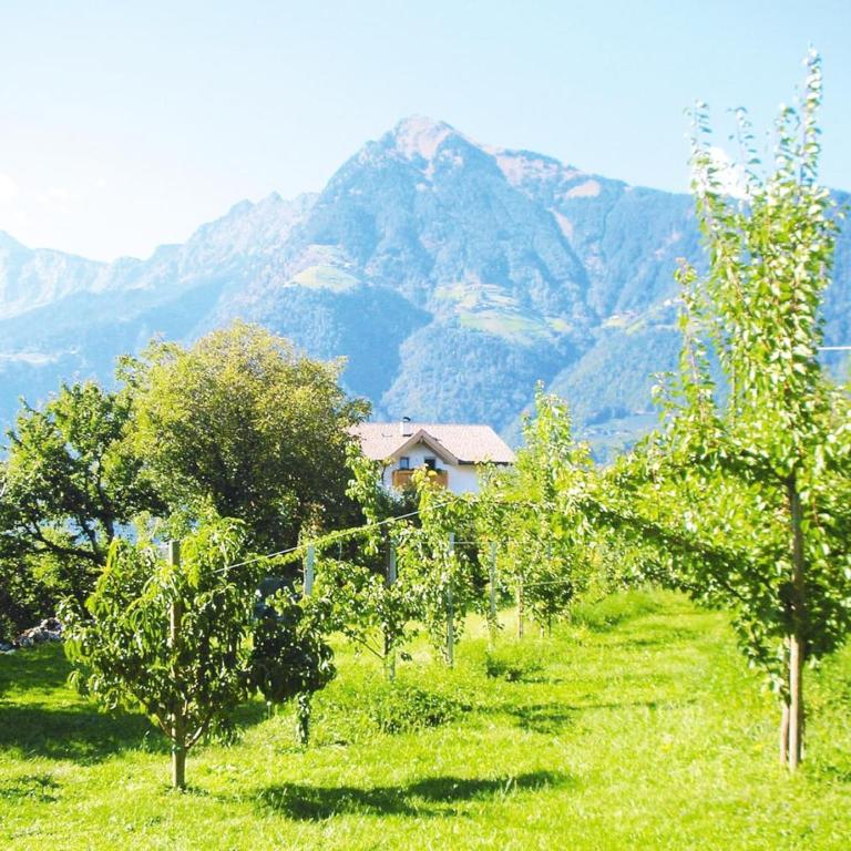 Apartment in Dorf Tirol near tennis court - Apartment mit 1 Schlafzimmer - 6