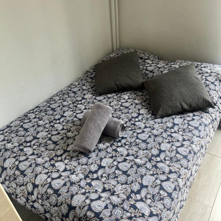 Studio au pied de la TOUR EIFFEL - Appartement 1 Chambre - 10