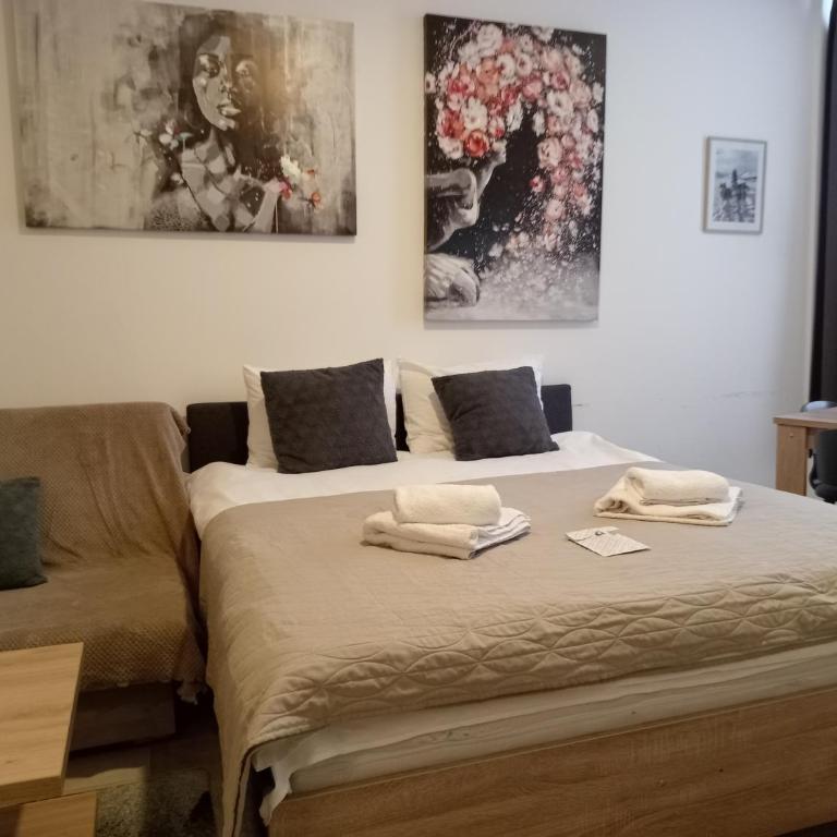 Husky Kopaonik - One-Bedroom Apartment - 2