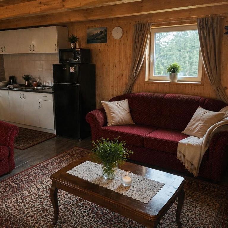 Zabljak Skiers House - Two-Bedroom House - 8