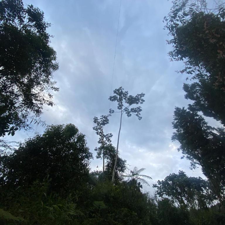Casa de Campo privada Amoblada cerca a termales san Vicente - Casa de 4 dormitorios - 14