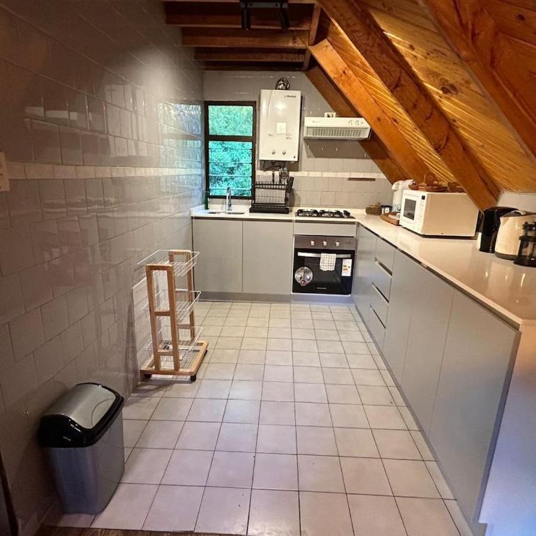 Rayen Mahuida - Las Trancas - Four-Bedroom House - 3