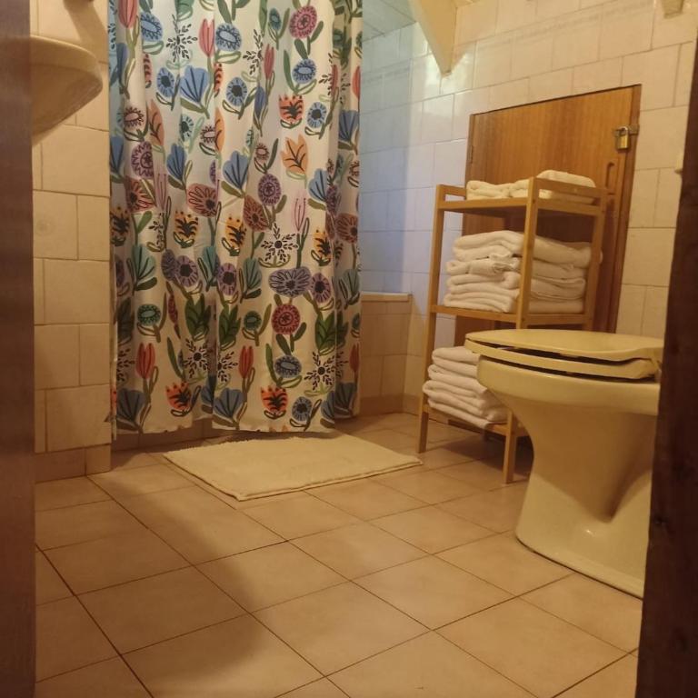 Rayen Mahuida - Las Trancas - Four-Bedroom House - 6