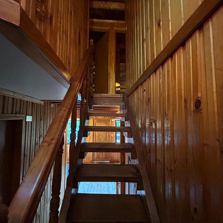 Rayen Mahuida - Las Trancas - Four-Bedroom House - 13