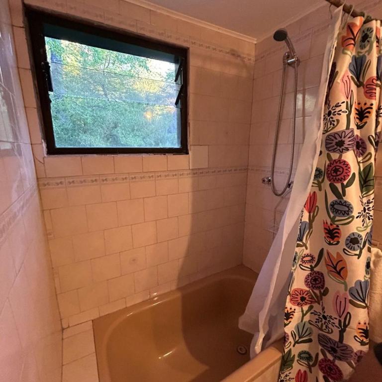 Rayen Mahuida - Las Trancas - Four-Bedroom House - 15