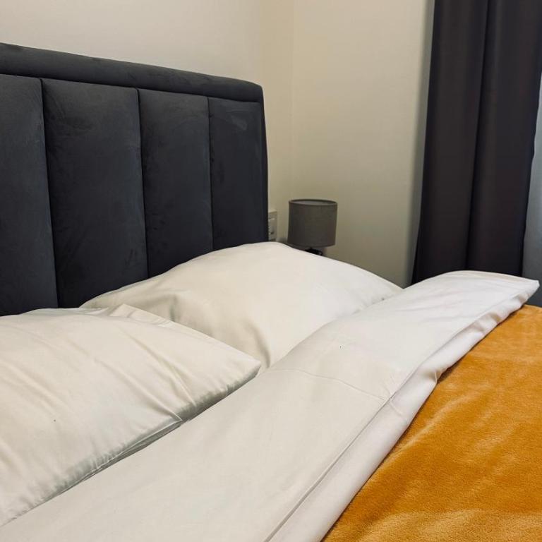 Balkan Square 55 - One-Bedroom Apartment - 60