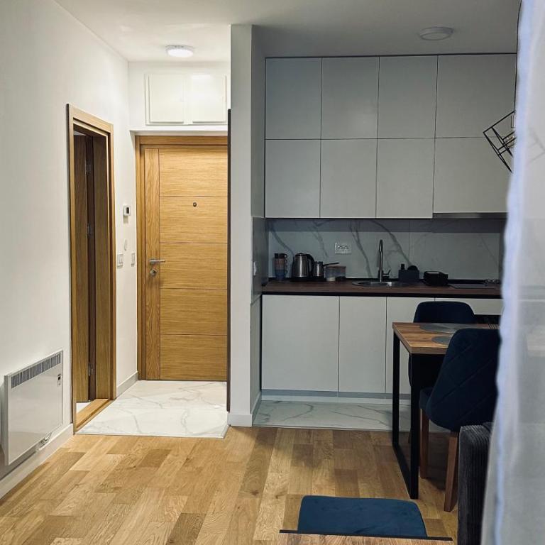 Balkan Square 55 - One-Bedroom Apartment - 66