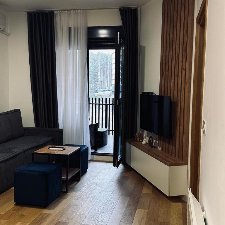 Balkan Square 55 - One-Bedroom Apartment - 68
