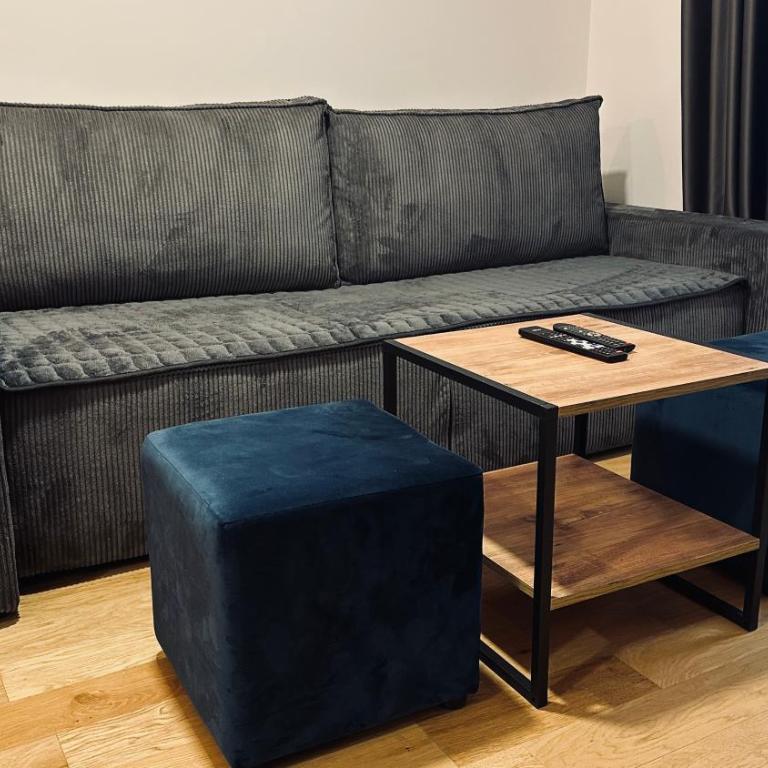 Balkan Square 55 - One-Bedroom Apartment - 77