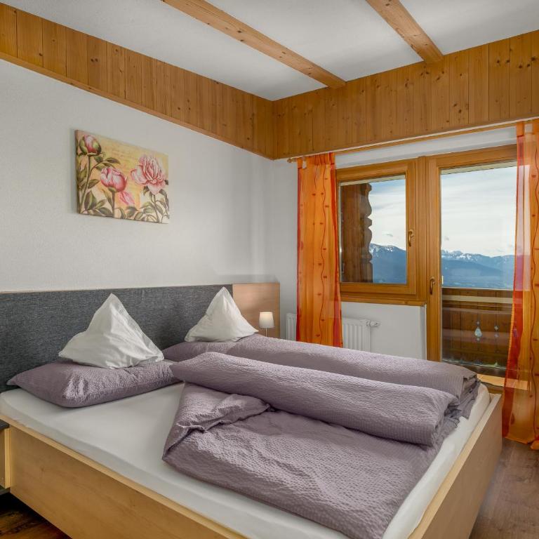 Pitznerhof - Appartamento con 1 Camera da Letto - 10