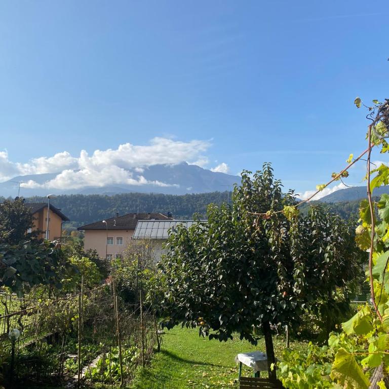 Casa Martello - Appartamento con Vista Giardino - 27