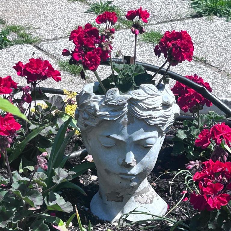 Giardino Fiorito - Appartamento con 1 Camera da Letto - 7