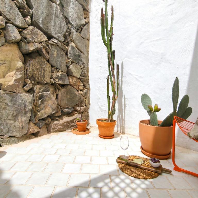 Villa Elisea - Apartment with Garden View - 13