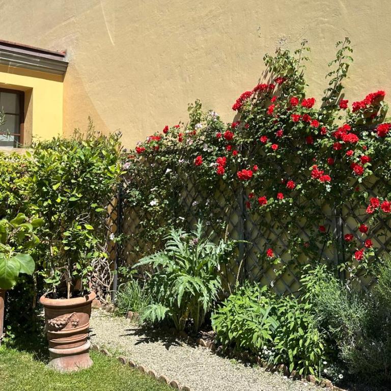 La Limonaia Firenze - Appartamento con 1 Camera da Letto - 4