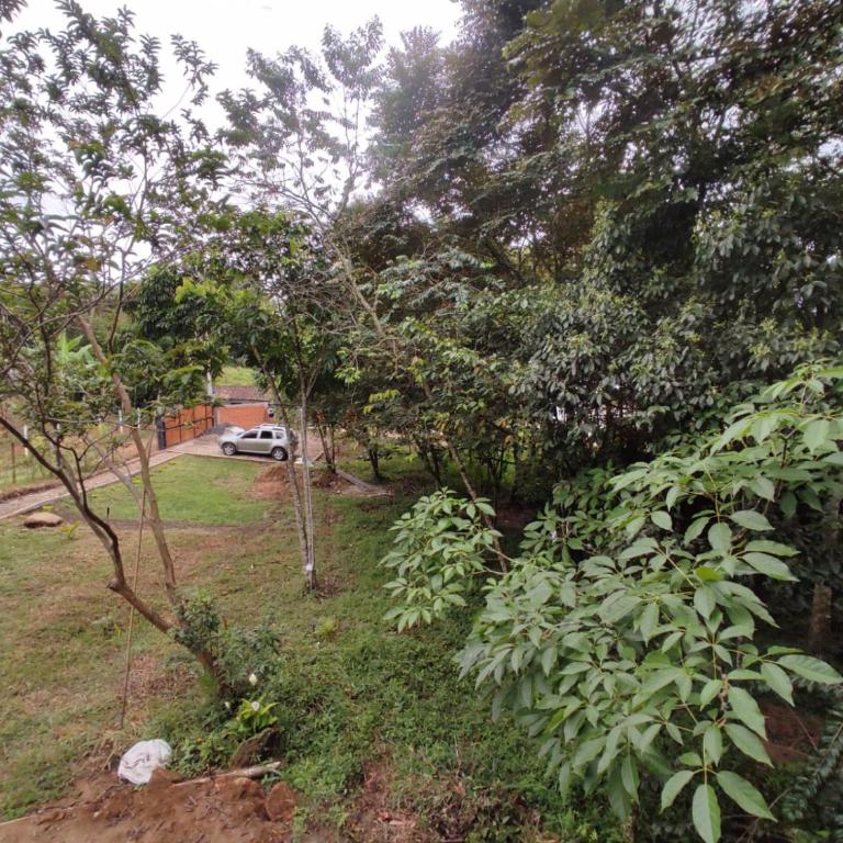 Glamping Barbosa Antioquia - Vacation Home - 3