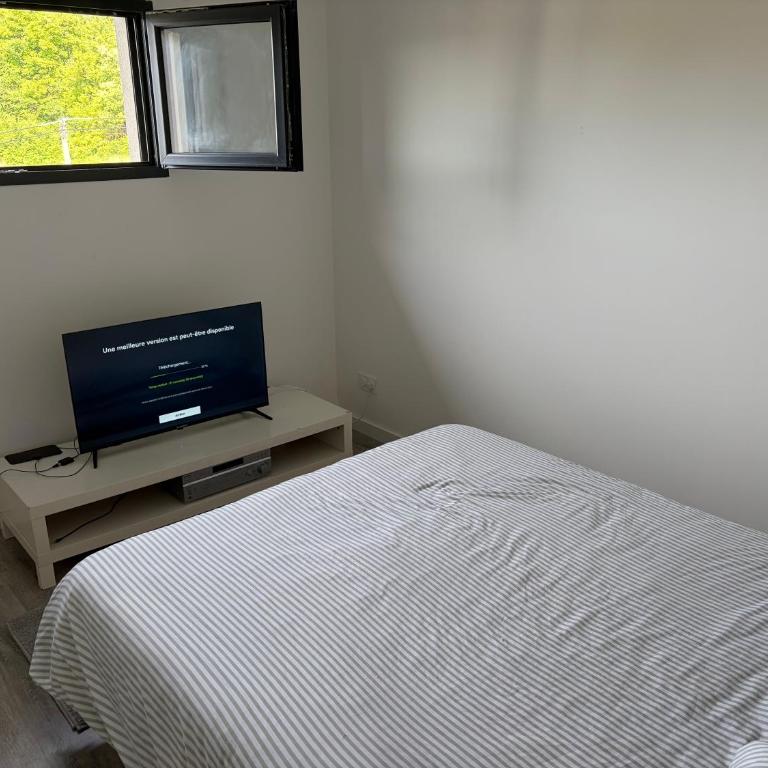 Chambre spacieuse #3 - Chambre Double avec Salle de Bains Commune - 1