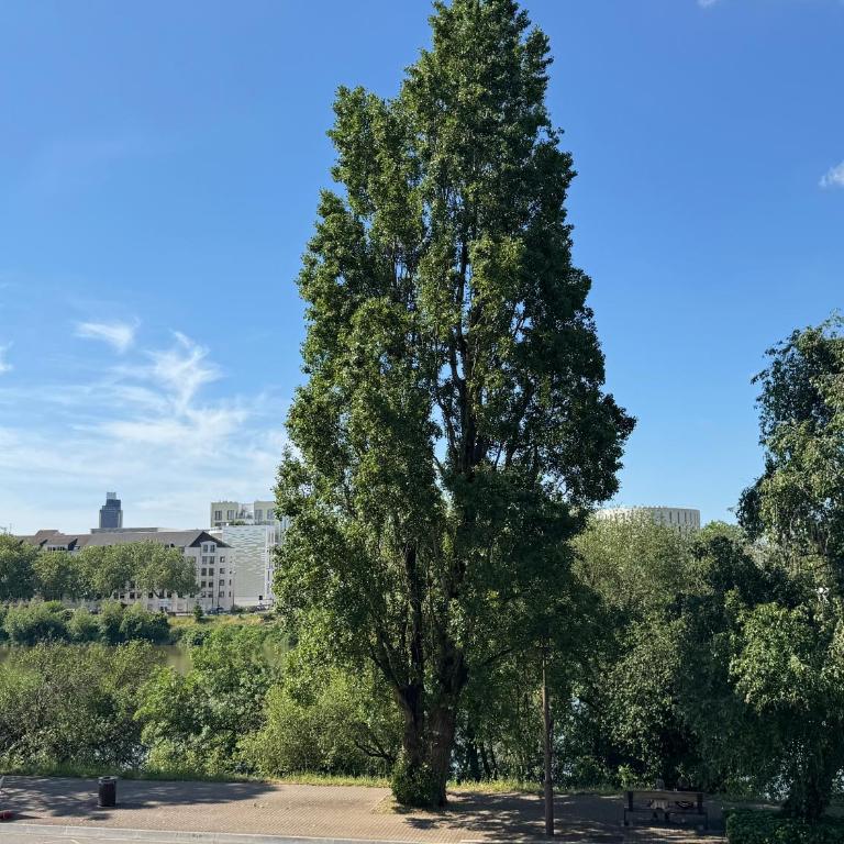 Le Cocon du Bord de Loire ! Appartement spacieux pour 6 personnes avec terrasse & parking - Apartment mit 3 Schlafzimmern - 3