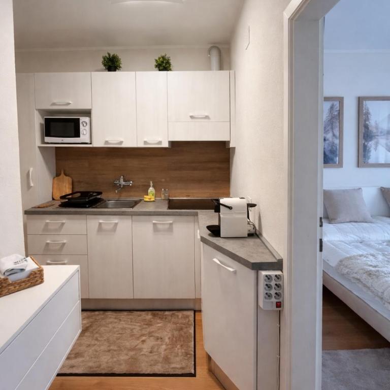 NIVO Apartment surrounded by gardens and on the ski slope - Apartment mit 1 Schlafzimmer - 5