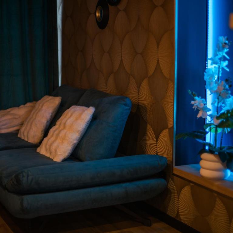 Suite romantique avec jaccuzzi - proche des lacs - La secrète room - Maison 1 Chambre - 17