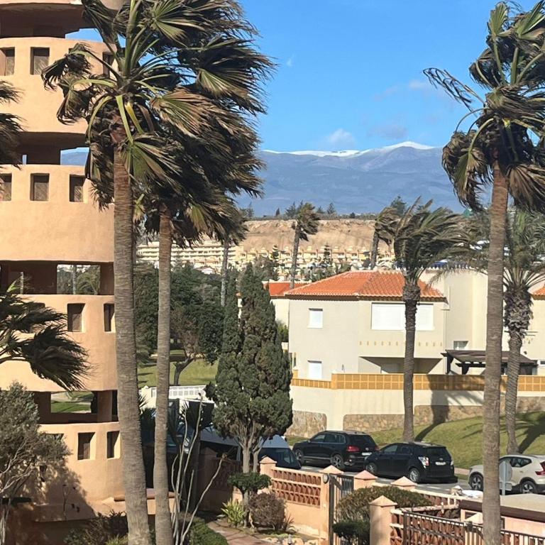 Apartamento Dream Sea - Apartamento Deluxe de 1 dormitorio con vistas al jardín - 1