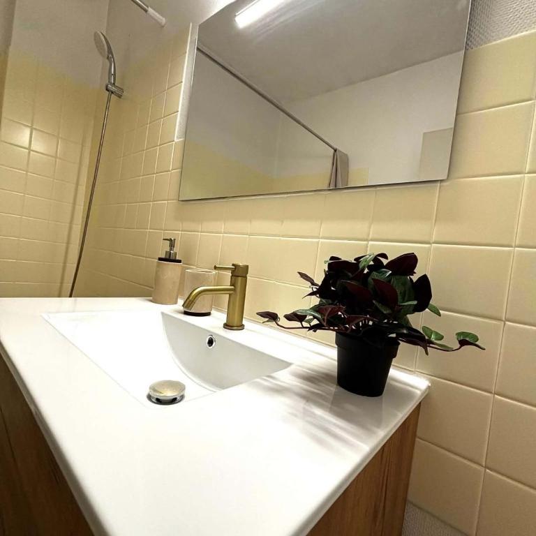Appartement rénové ultra centre - Appartement 1 Chambre - 6