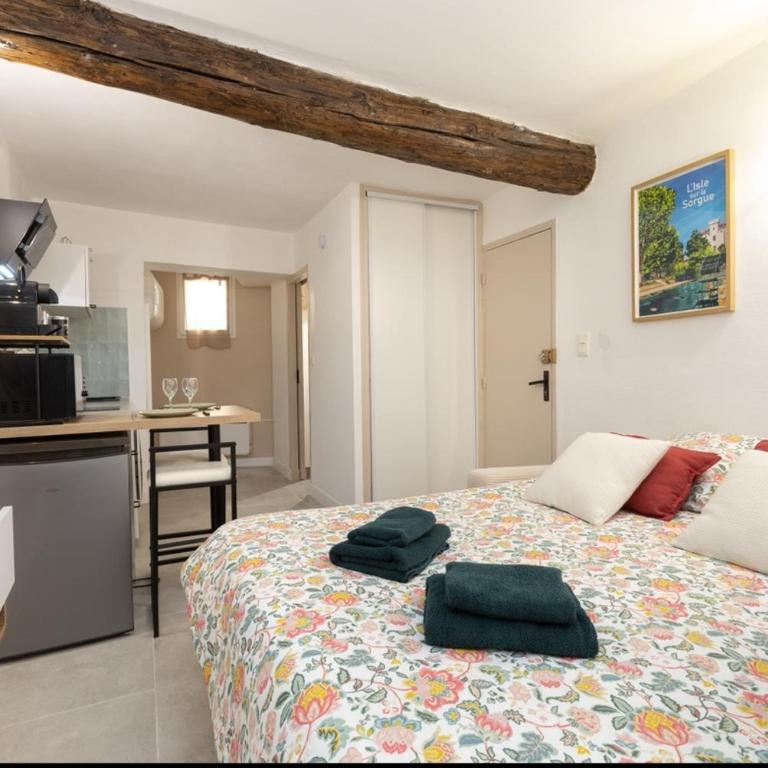 Studio Le nid de la Sorgue - Studio - 1