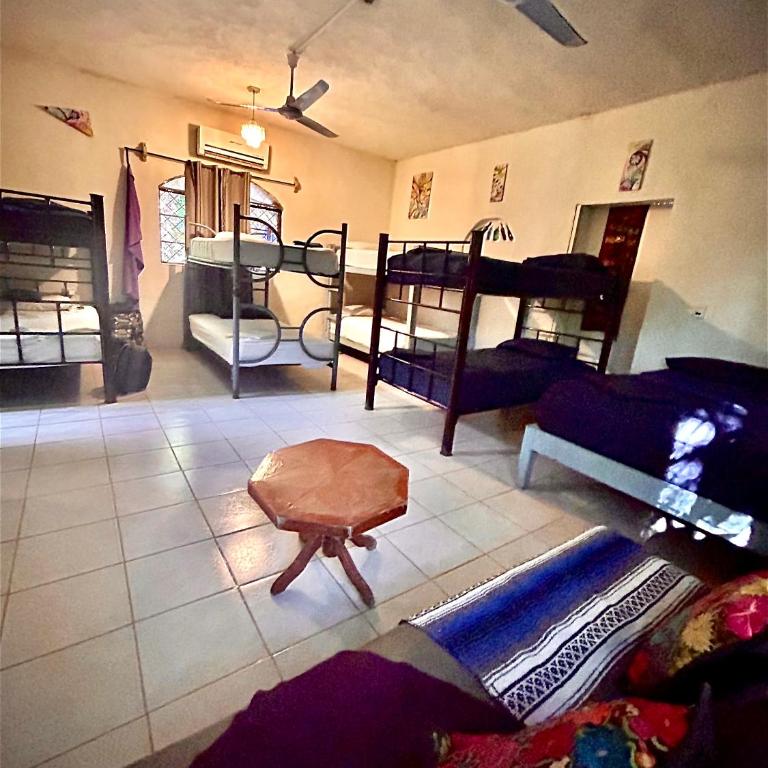 Hostalito Lahar - Cama en habitación compartida de 8 camas - 1