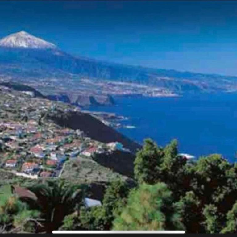 Los cristianos Vistas al mar y cerca de la playa - Apartamento - 40