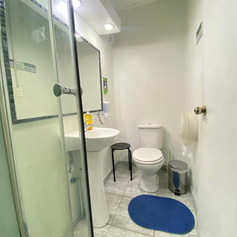 Hostal Cochrane - Triple Room with Private Bathroom - 4