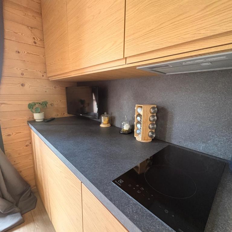 Ski ou Thermes? Un appt cabine avec vue magnifique - Appartement 1 Chambre - 53