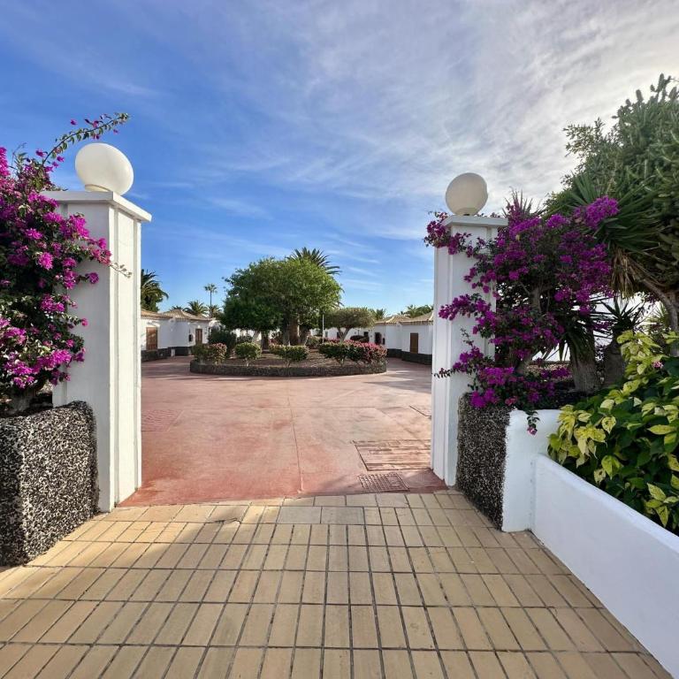 Ocean Vista Golf del Sur - Apartamento - 50
