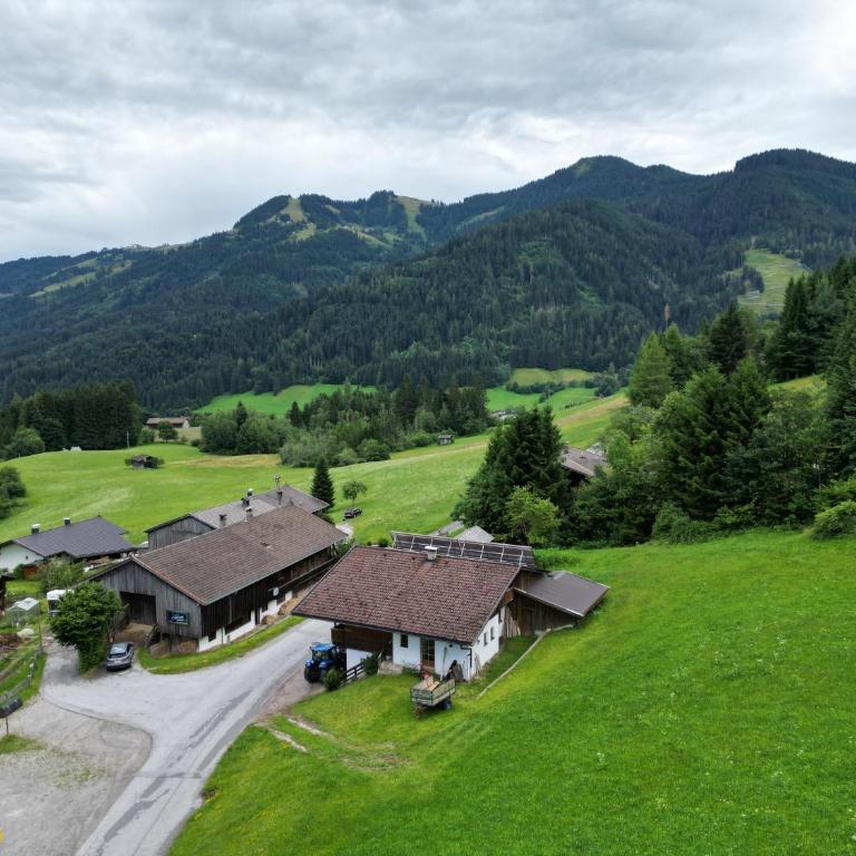 ZuHaus Gruab - Dog Friendly Tyrolean Apartment with fireplace Wildschönau Premiumcard - Apartment mit 1 Schlafzimmer, Balkon und Bergblick - 4
