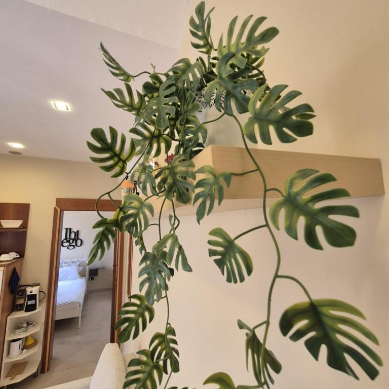 Il sogno di Geppino Roma TREVI - Appartamento con 1 Camera da Letto - 4