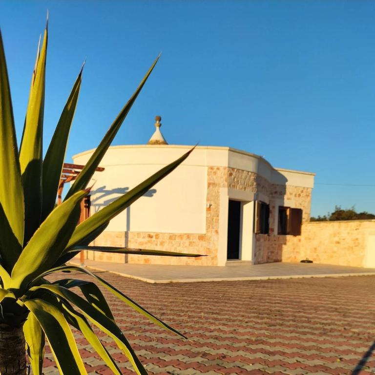 Il trullo di Antonio - Two-Bedroom House - 1