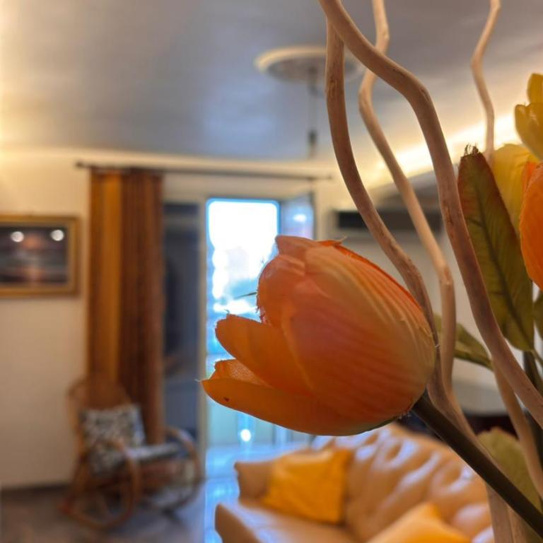 Appartamento Oceano - Appartamento con 3 Camere da Letto - 40