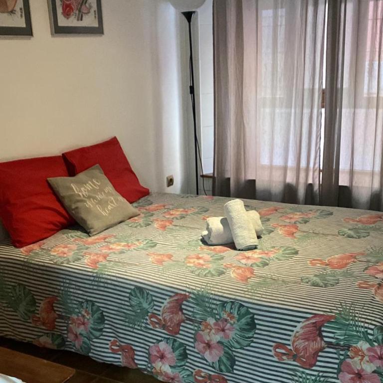 Coquito apartamento - Apartamento de 1 dormitorio - 3