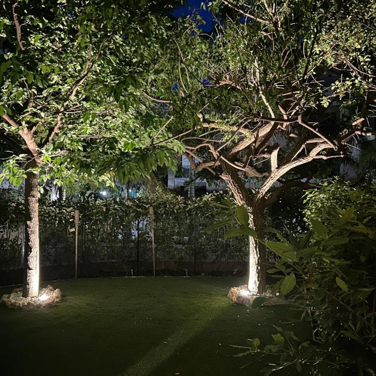 Secret Garden - Appartement - Vue sur Jardin - 4